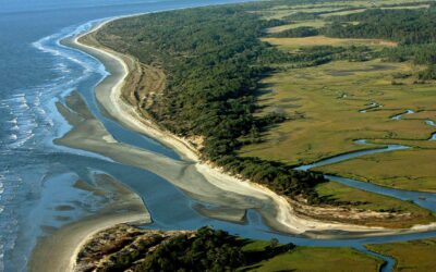 Sapelo Island